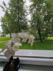 Trumpalaikė butų nuoma Kaune prie Klinikų STUDIJA B SELF CHECK IN