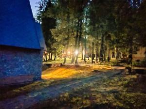 Voineasamountainvillas