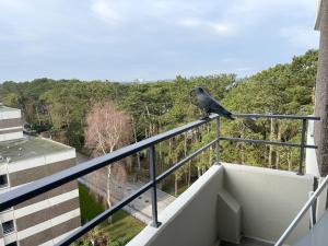 Appartment am Meer 202