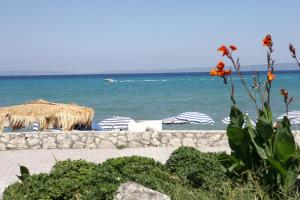 Hotel Calypso Halkidiki Greece