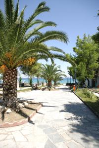 Hotel Calypso Halkidiki Greece