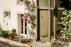 Nengshof Ferienwohnung Wildrose