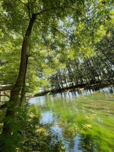 Hotel Restorant Natyra Diber Camping