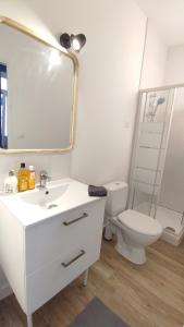 Le Vaillant Studio Moderne wifi