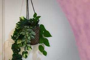 Ikigai Casa Vacanza Colosseo - due passi metro A Manzoni - 5 minuti dalla Stazione Termini