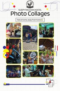 Sleepy Raccoon Hostel