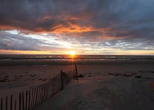 A lombre des dunes