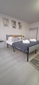 Zorilor Cactus Apartment