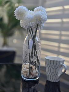 Studio apartman Carera