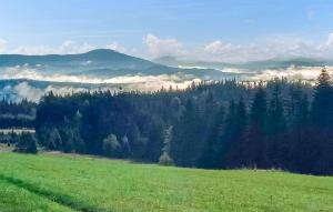 Beautiful Home In Myslenice With Wifi