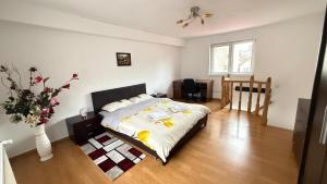 Dianas House Studio