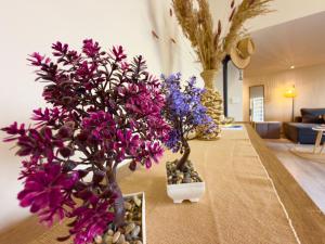 Calma Garden Retreat -10 Walk to Center