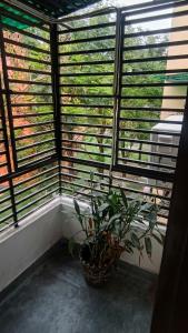 Far from home Modern & Cozy