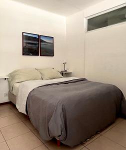 Estudio Maipú