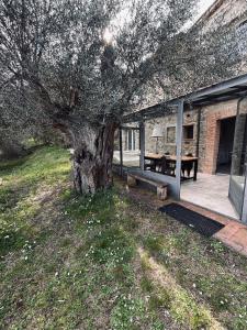 Maison Lia Tuscan Countryside