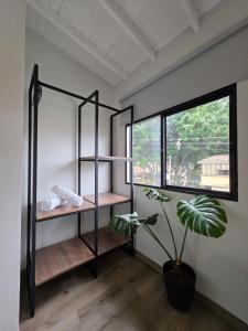 Chill Almendra Suite W AC Kitchen in Laureles