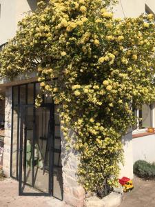House near Avignon with pool