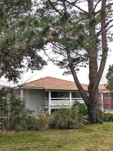 Swing Moliets - T2 bis - Golf - 3 Piscines - Plage