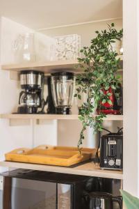 Explora el encanto unico de Barrio Italia