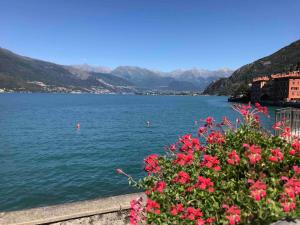 La Splendida, a breathtaking terrace on Lake Como
