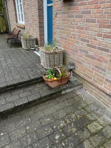 Ferienhaus Leegwater