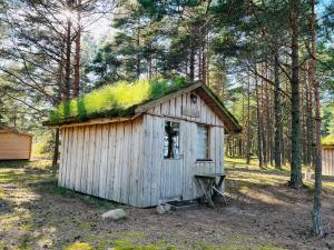 Ülesaare kämping