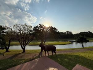 Golf course view - perfected!