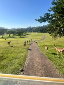 Golf course view - perfected!