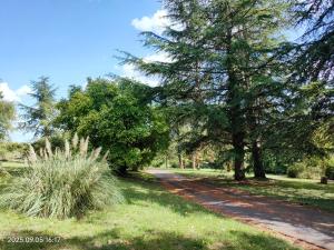 Morphoses, Maison dhôtes créative