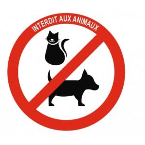 Mondon 3 arcades 3 rooms 2 showers