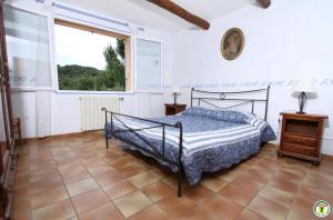 Gîte Bleu au milieu des oliviers