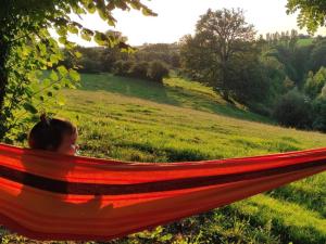 Mobil-home avec terrasse - 6 pers. - API-1-52-2013