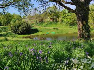 Mobil-home avec terrasse - 6 pers. - API-1-52-2013