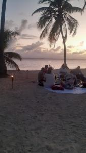 DGunayar Camping