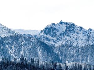 Golden Zakopane - Villa Cyrhla 302