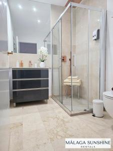 Malaga Sunshine Rentals - NEW PICASSO PLAZA -