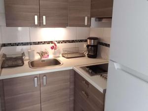 Appartement 2 pièces accès direct plage, animaux acceptés, parking - FR-1-387-193