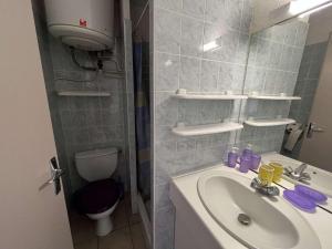Appartement 2 pièces accès direct plage, animaux acceptés, parking - FR-1-387-193