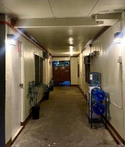 Budget Friendly Homestay for Solo Traveler