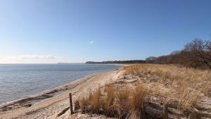 Kleine Oase im Haus Waldesheim