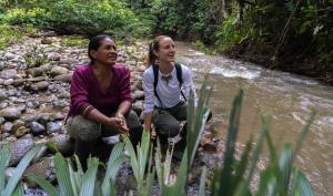 Sinchi Warmi Amazon Lodge
