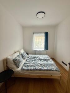 Heart of Praděd Apartment