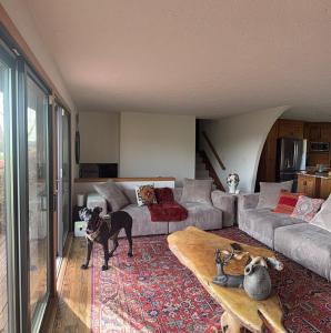 Villa Mt Rainier