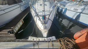 Lisboa Barco Ilinx Marina Parque das Nações