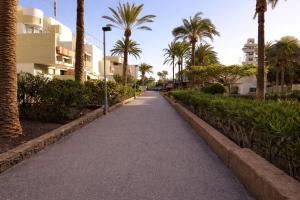 Cozy Garden Apartment Las Galletas