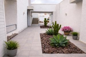 Cozy Garden Apartment Las Galletas