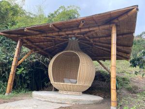 GLAMPING ENTRE MONTES Y CAFETALES