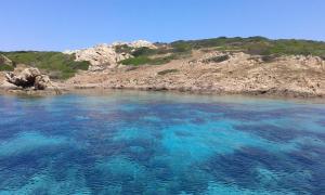 La Coloniale San Pantaleo