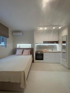 Stylish Renovated Studio