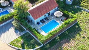 House Stone Curlew 3